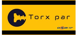 Logomarca de Torx Par - Distribuidor de Parafusos