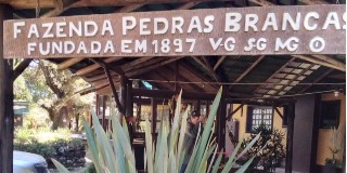 Logomarca de Fazenda Pedras Brancas - Hotel Fazenda