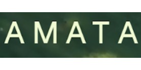 Logomarca de Amata - Madeira Certificada