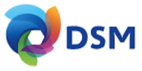 Logomarca de Dsm South America