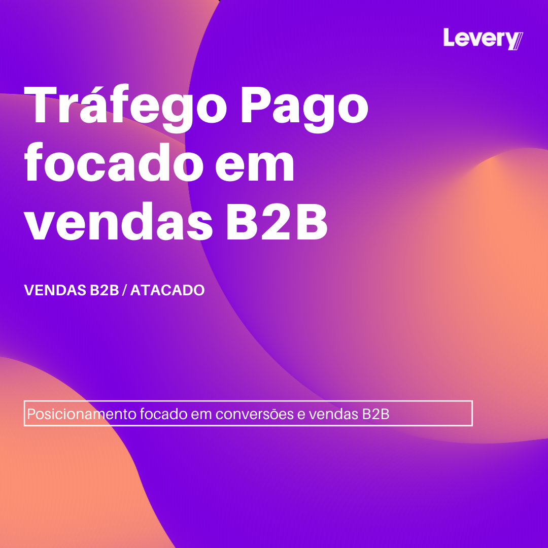 Tráfego pago B2B Levery Digital