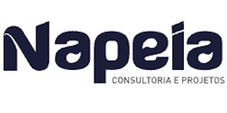 Logomarca de Napeia - Consultoria e Projetos