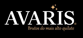Logomarca de Avaris Bruto - Bijuterias No Bruto