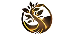 Logomarca de Divina Madeira - Móveis de Pinus