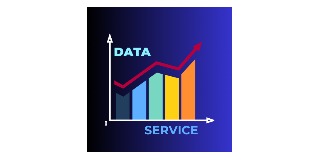 Logomarca de Barcellos Service - Gestão de Dados
